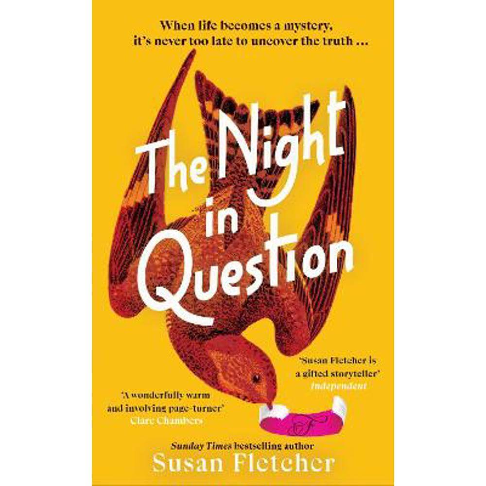 The Night in Question: Discover the rich, dazzling life of 2024's most lovable protagonist (Hardback) - Susan Fletcher